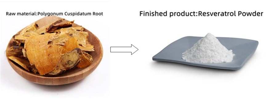 product-900-358 Pure Resveratrol Powder