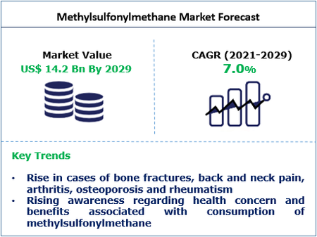 Market Forecast Market Forecast