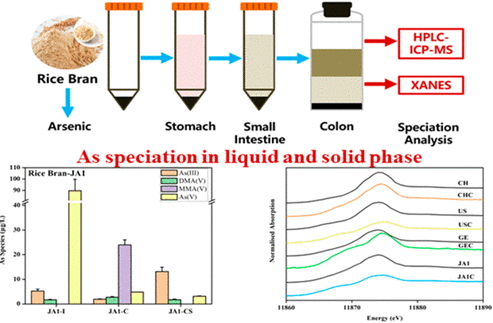 Rice Bran Extract Function