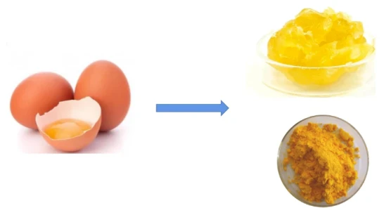 product-546-299 Egg Yolk Lecithin