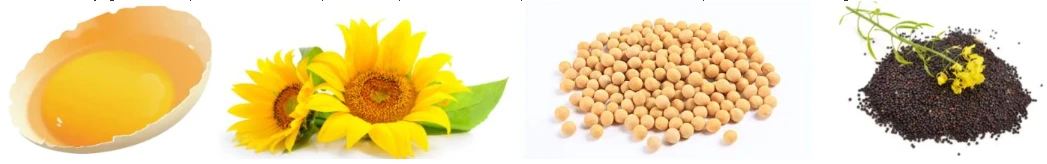 product-1047-164 Lecithin powder
