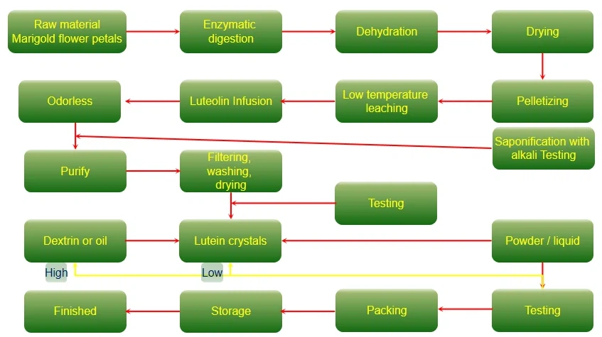 product-847-475 lutein flow chart