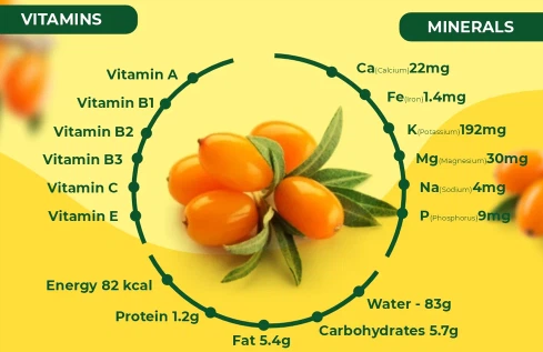 Sea Buckthorn Fruit Powder