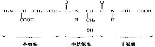 GSH powder