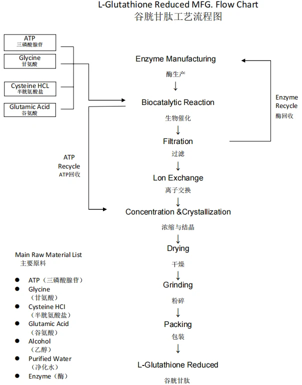 L-Glutathione flow chart L-Glutathione flow chart