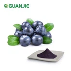 Blueberry Fruit Powder