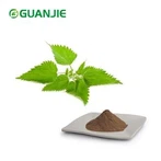 Nettle Extract Powder