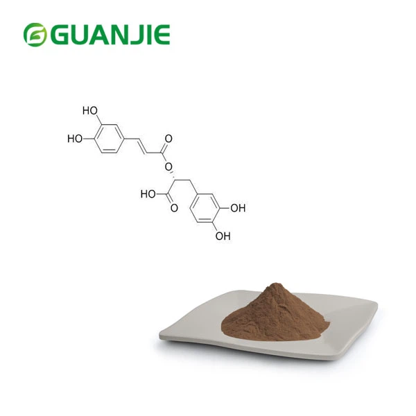 Rosemary Extract Powder