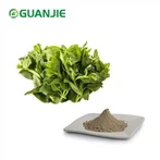 Andrographis Paniculata Extract Powder