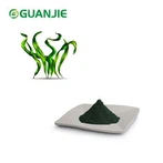 Best Spirulina Powder