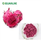 Dragon Fruit Powder