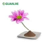 Echinacea Purpurea Extract Powder