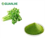 Freeze Dried Celery Powder