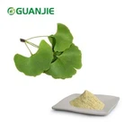 Ginkgo Biloba Leaf Extract Powder