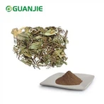 Gymnema Sylvestre Extract Powder