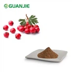 Hawthorn Leaf Extract Powder