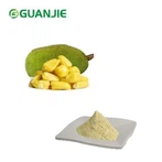 Jack Fruit Powder