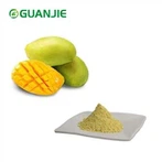 Mango Fruit Powder