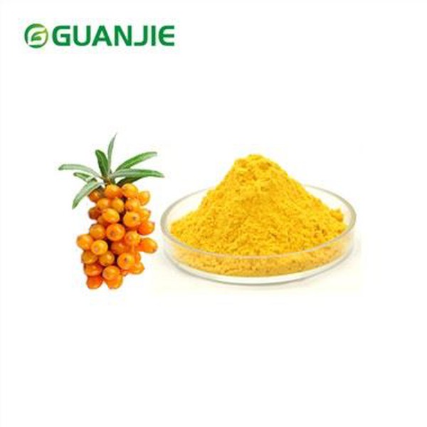 Sea Buckthorn Fruit Powder Sea Buckthorn Fruit Powder