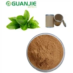 Bulk Green Tea Extract Powder