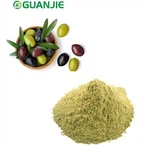 Olive Leaf Extract Powder