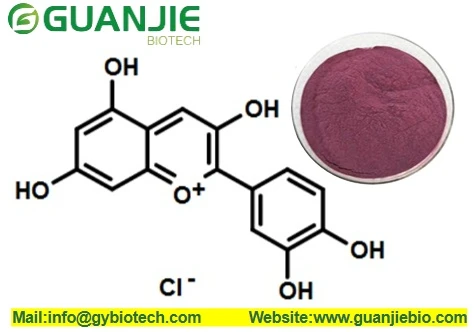 Anthocyanins powder Anthocyanins powder