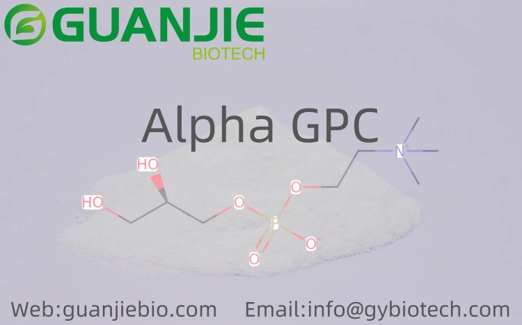 Alpha GPC powder bulk Alpha GPC powder bulk