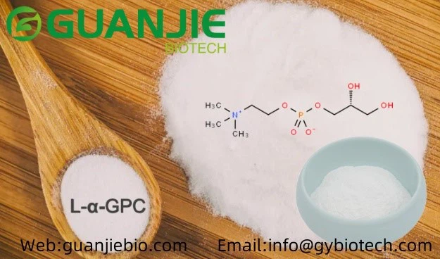 Alpha-GPC bulk powder Alpha-GPC bulk powder