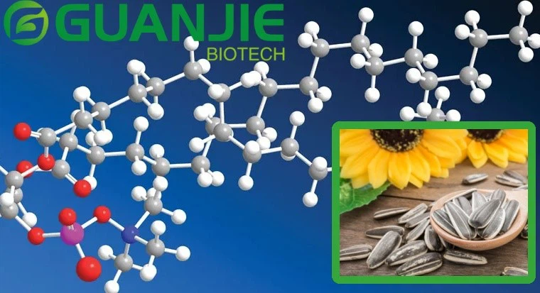 Phosphatidylserine In Sunflower Lecithin Phosphatidylserine In Sunflower Lecithin