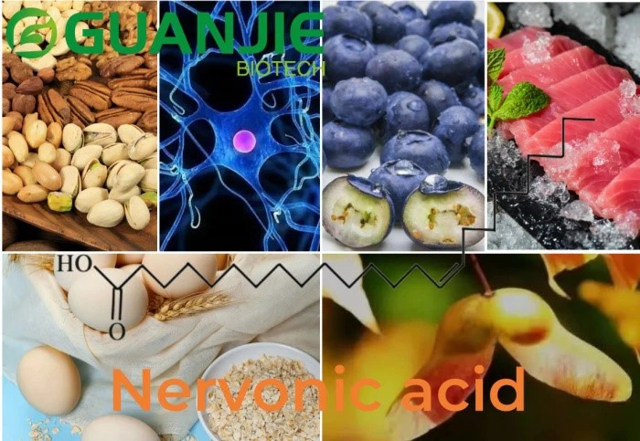 Nervonic acid Nervonic acid