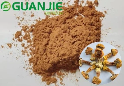 Agaricus Subrufescens Extract Powder Agaricus Subrufescens Extract Powder