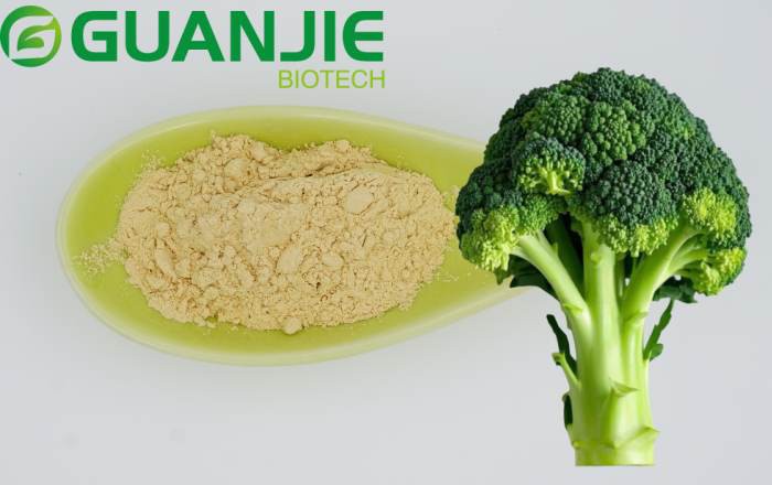 news-1-1 How Much Sulforaphane In Broccoli Sprouts