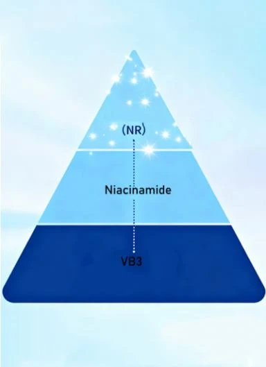 What Is The Relationship Between Vitamin B3 And Nicotinamide Riboside What Is The Relationship Between Vitamin B3 And Nicotinamide Riboside