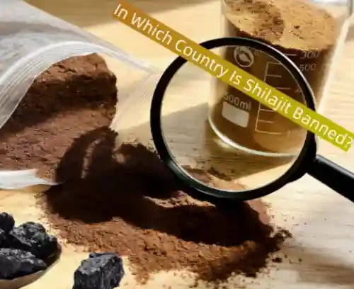 In Which Country Is Shilajit Banned In Which Country Is Shilajit Banned