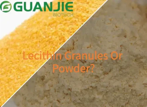 Which Is Better Lecithin Granules Or Powder Which Is Better Lecithin Granules Or Powder