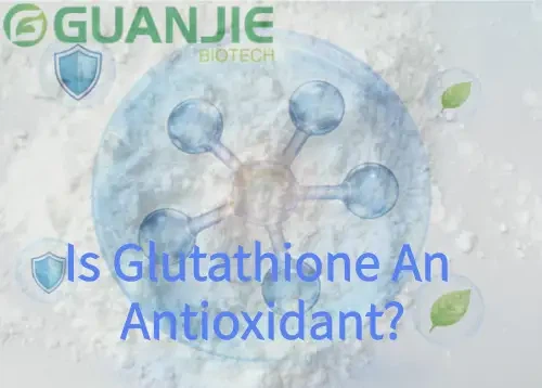 Is Glutathione An Antioxidant Is Glutathione An Antioxidant