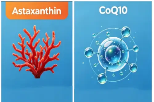 Are Astaxanthin And Coenzyme Q10 Safe Are Astaxanthin And Coenzyme Q10 Safe