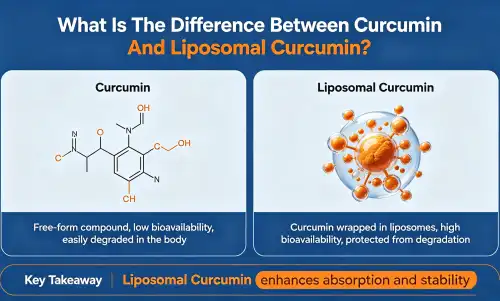 What Is The Difference Between Curcumin And Liposomal Curcumin What Is The Difference Between Curcumin And Liposomal Curcumin