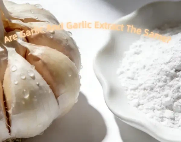 Are Garlic And Garlic Extract The Same?
