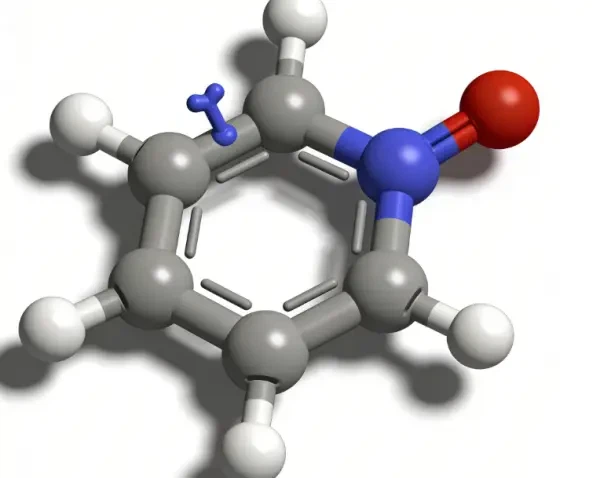 What Are The Ingredients In Citicoline?