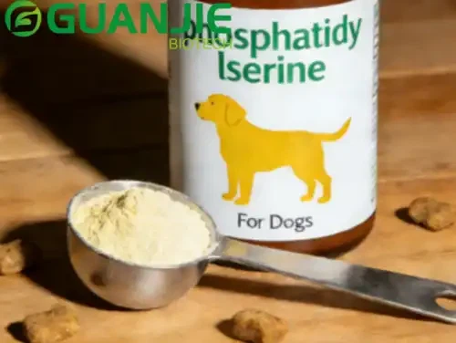 Can Dogs Have Phosphatidylserine?