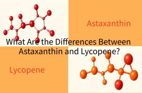 What Are Differences Between Astaxanthin And Lycopene?