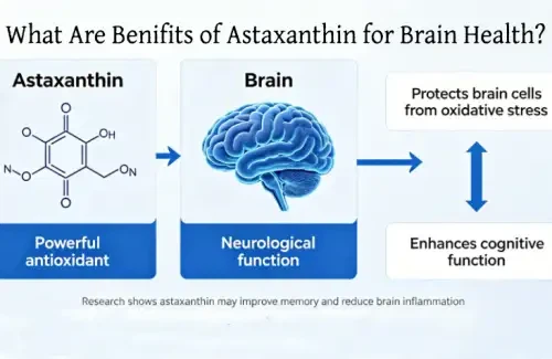 What Are Benifits Of Astaxanthin For Brain Health?
