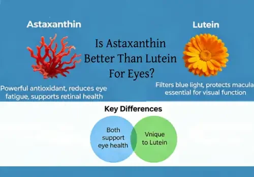 Is Astaxanthin Better Than Lutein For Eyes?