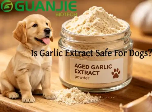 Is Garlic Extract Safe For Dogs?