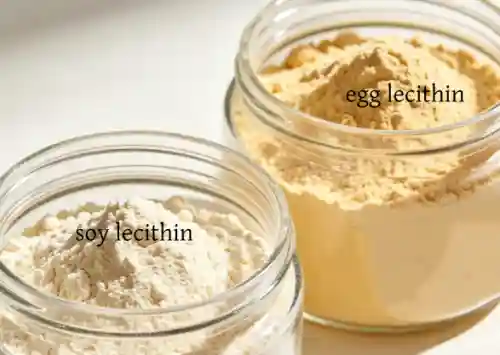 Egg Lecithin Vs Soy Lecithin