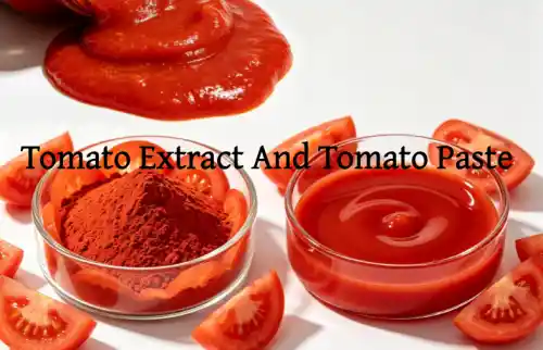 Tomato Extract Vs Tomato Paste