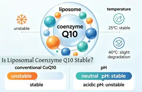 Is Liposomal Coenzyme Q10 Stable?