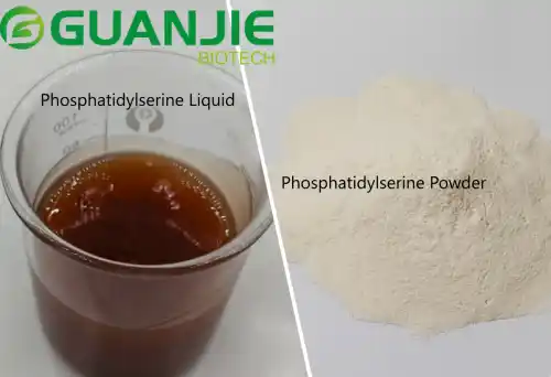 Phosphatidylserine Liquid And Phosphatidylserine Powder: What Are The Differe...