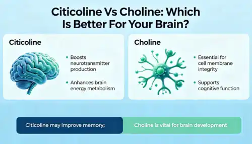 Citicoline Vs Choline: Which Is Better For Your Brain?